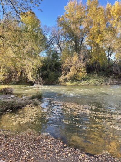 Rezzonico Family Park - Camp Verde, AZ