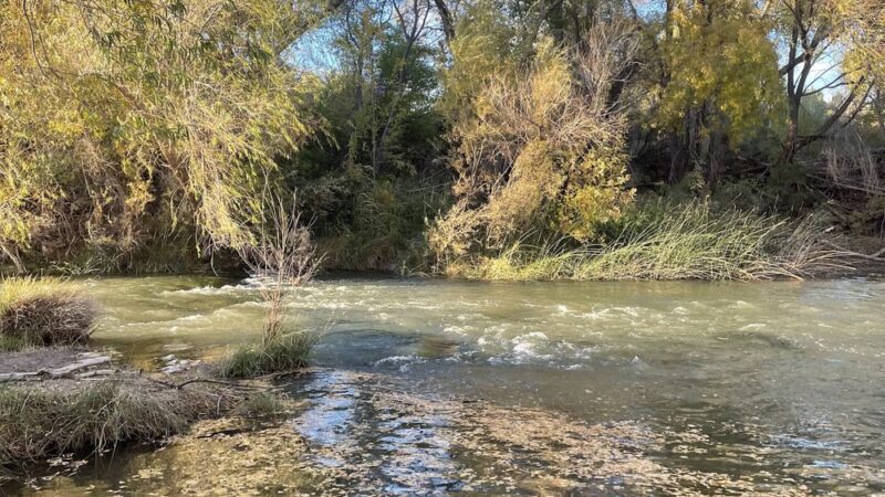 Rezzonico Family Park - Camp Verde, AZ