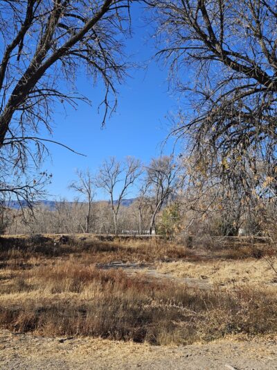 Verde Lakes Community Park - Camp Verde, AZ