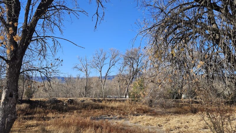Verde Lakes Community Park - Camp Verde, AZ