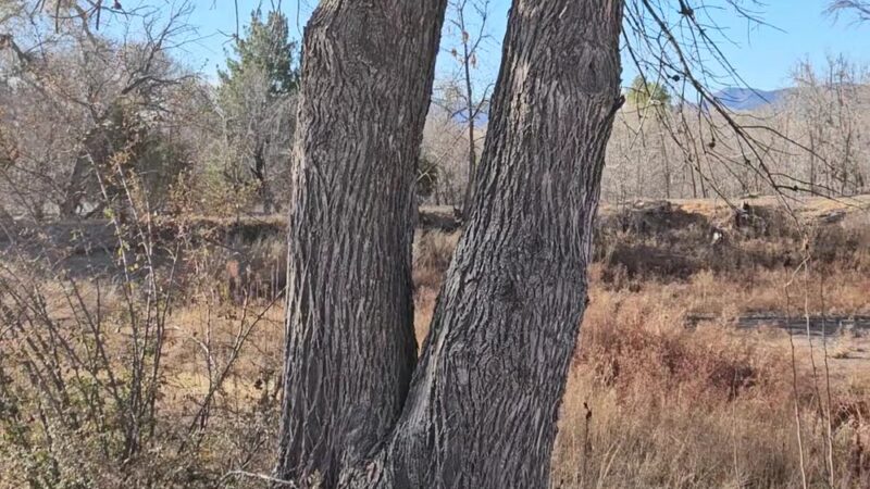 Verde Lakes Community Park - Camp Verde, AZ