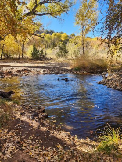 Clear Creek Campground - Camp Verde, AZ