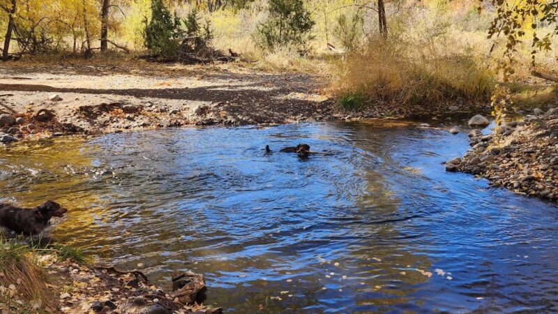 Clear Creek Campground - Camp Verde, AZ