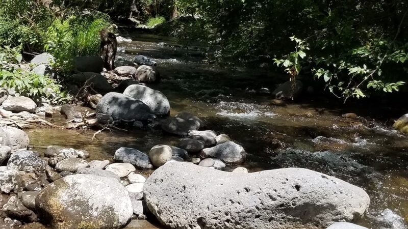 Clear Creek Campground - Camp Verde, AZ