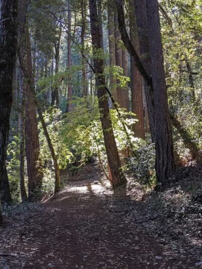 Bullards Bar Trail - Camptonville, CA
