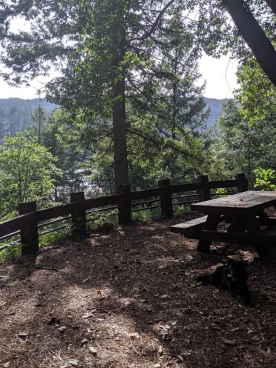 Bullards Bar Trail - Camptonville, CA