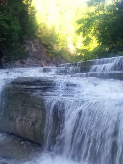 Wintergreen Park - Canajoharie, NY