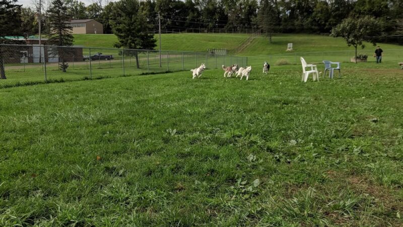 Canal Fulton Dog Park - Canal Fulton, OH