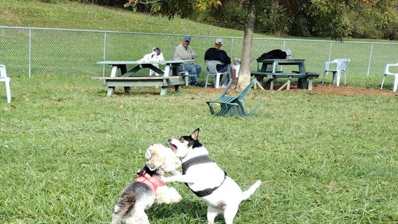 Canal Fulton Dog Park - Canal Fulton, OH