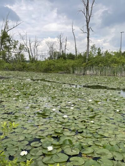 Lagoon Park - Canandaigua, NY