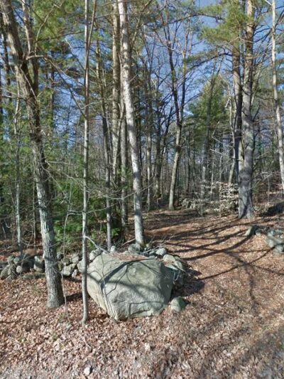 Candia Town Forest - Candia, NH