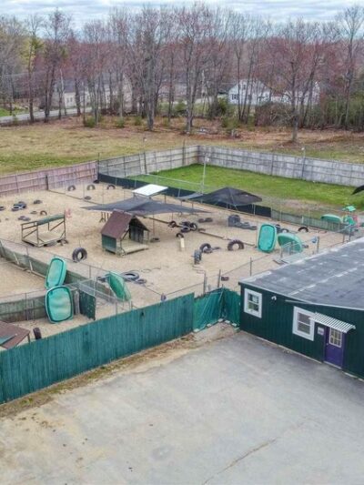 Pampered Pup LLC. - Candia, NH