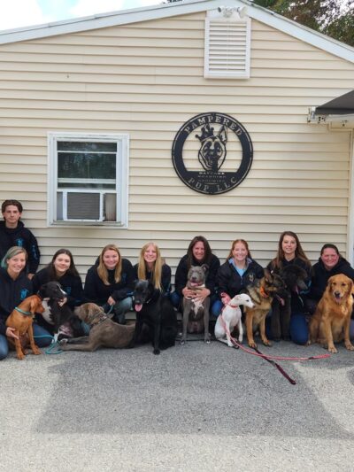 Pampered Pup LLC. - Candia, NH