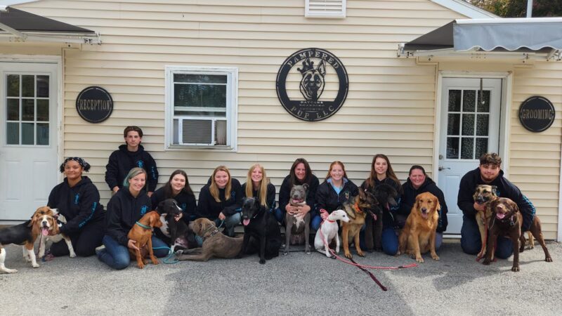 Pampered Pup LLC. - Candia, NH