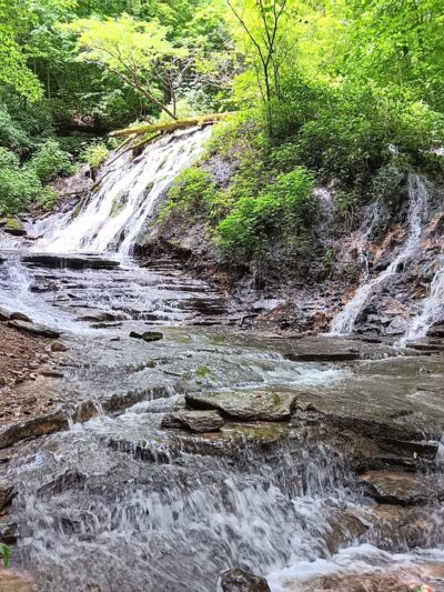 Canmer, KY ATV Trails - Canmer, KY