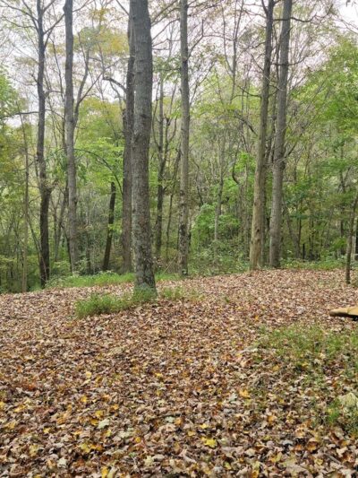 Canmer, KY ATV Trails - Canmer, KY