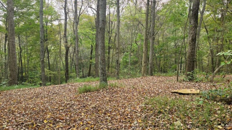 Canmer, KY ATV Trails - Canmer, KY