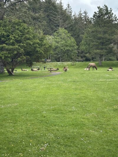 Cannon Beach Playground - Cannon Beach, OR