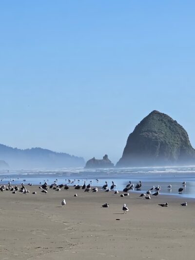 Les Shirley Park - Cannon Beach, OR
