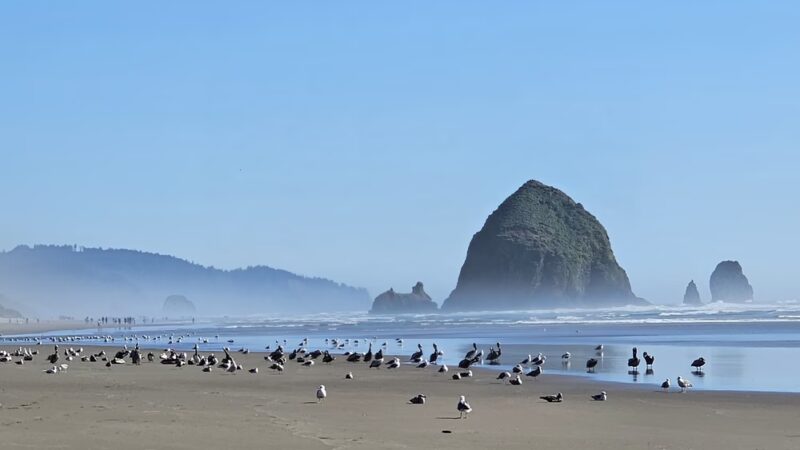 Les Shirley Park - Cannon Beach, OR