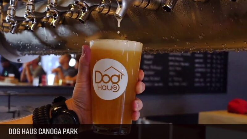 Dog Haus Canoga Park - Canoga Park, CA