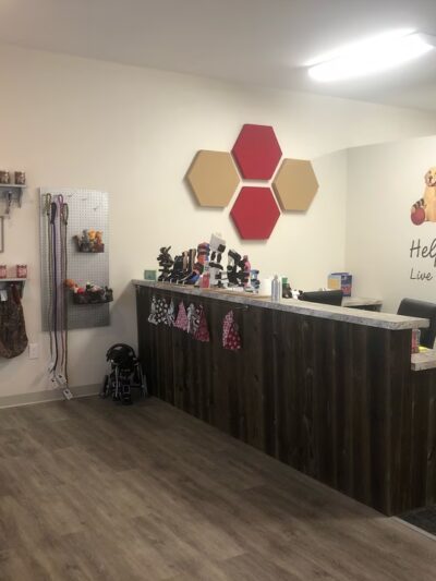 My Pet's Brace - Pittsburgh - Canonsburg, PA