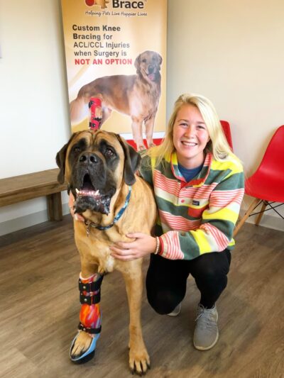 My Pet's Brace - Pittsburgh - Canonsburg, PA