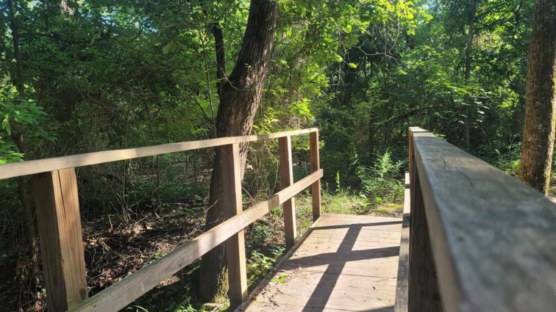 Cherry Creek Park - Canton, TX