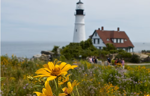 Fort Williams Park - Cape Elizabeth, ME