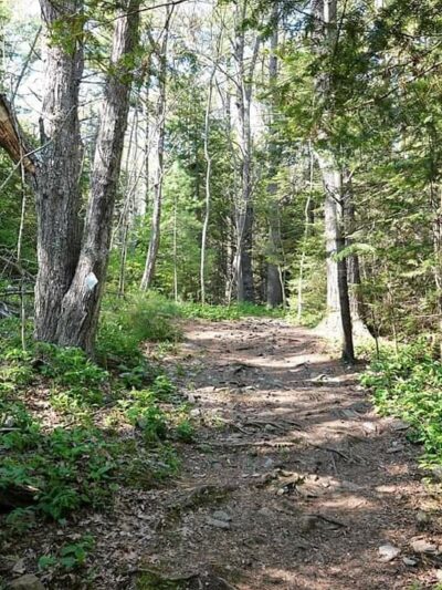 Robinson Woods Preserve - Cape Elizabeth, ME