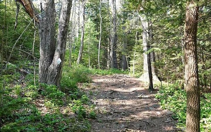 Robinson Woods Preserve - Cape Elizabeth, ME