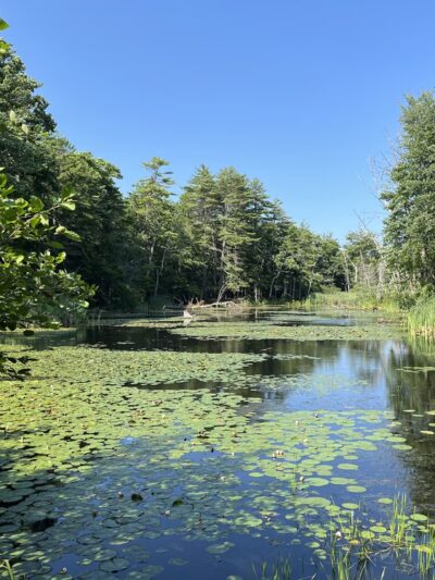 Robinson Woods Preserve - Cape Elizabeth, ME
