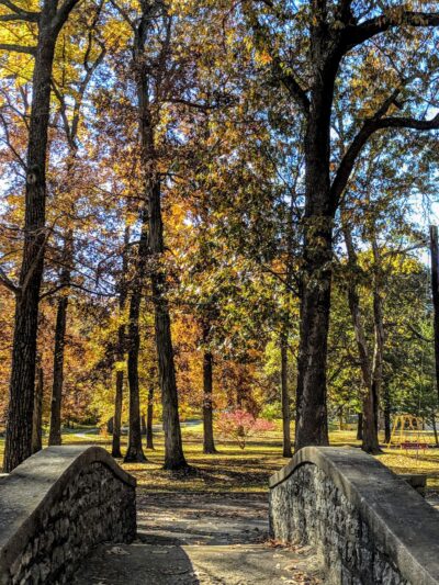 Dennis Scivally Park - Cape Girardeau, MO