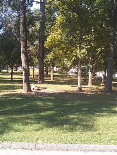 Dennis Scivally Park - Cape Girardeau, MO