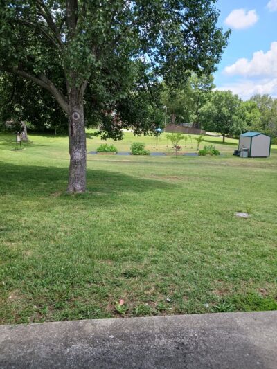 Washington Park - Cape Girardeau, MO