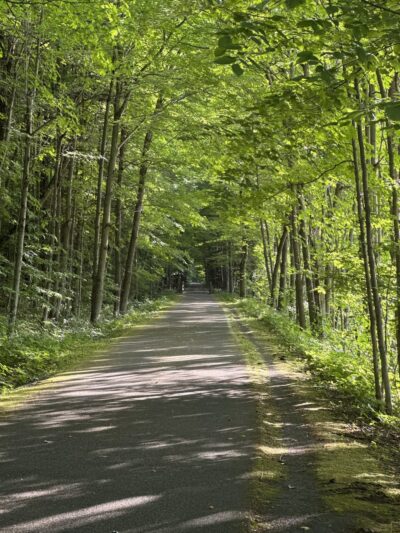 Town of Cape Vincent Recreation Park - Cape Vincent, NY