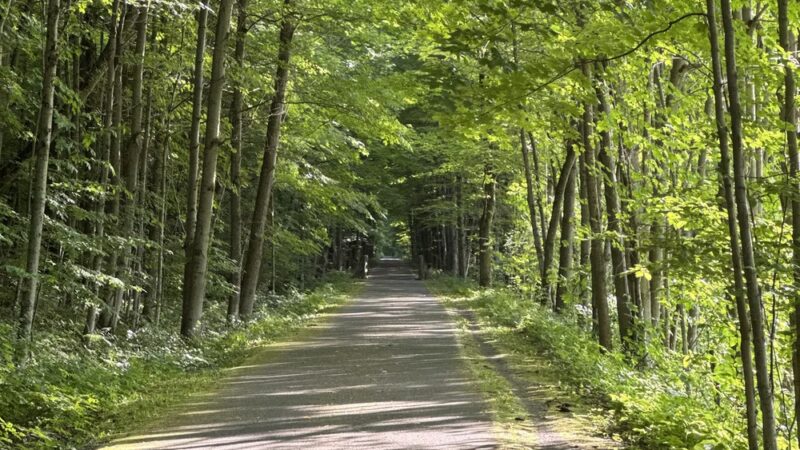 Town of Cape Vincent Recreation Park - Cape Vincent, NY