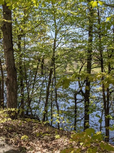 Town of Cape Vincent Recreation Park - Cape Vincent, NY
