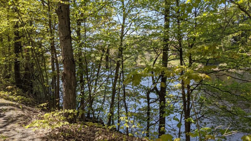 Town of Cape Vincent Recreation Park - Cape Vincent, NY