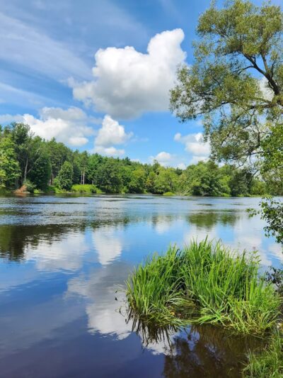 Town of Cape Vincent Recreation Park - Cape Vincent, NY