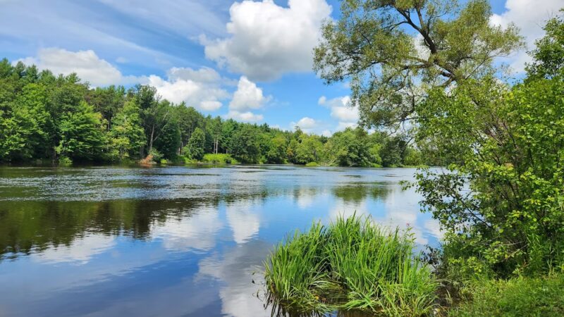 Town of Cape Vincent Recreation Park - Cape Vincent, NY