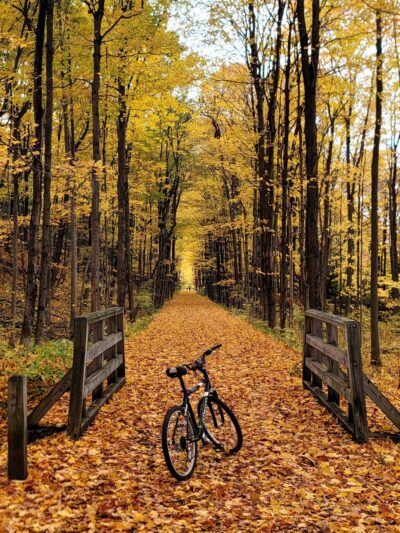 Town of Cape Vincent Recreation Park - Cape Vincent, NY
