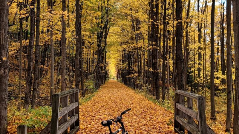 Town of Cape Vincent Recreation Park - Cape Vincent, NY