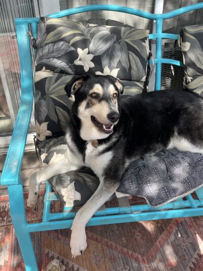 K9 Cabins, LLC - Capitan, NM