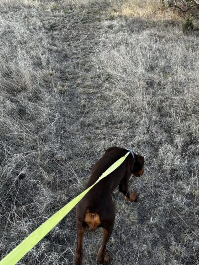 K9 Cabins, LLC - Capitan, NM