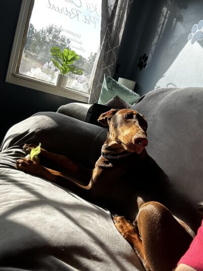 K9 Cabins, LLC - Capitan, NM