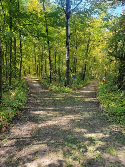 Lake Carlos State Park - Carlos, MN