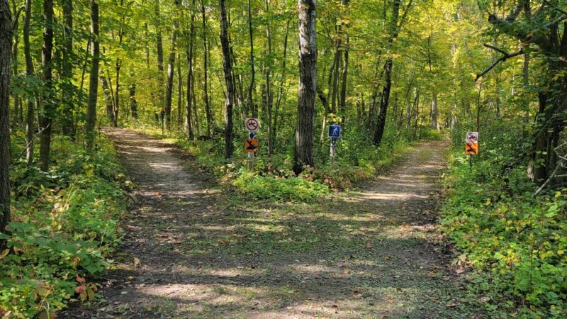 Lake Carlos State Park - Carlos, MN