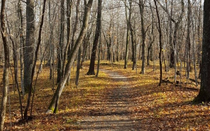 Lake Carlos State Park - Carlos, MN