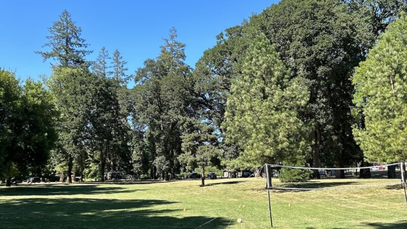 Carlton Lower Park - Carlton, OR